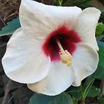 فندق مبيت وإفطار Il Giardino Di Tatiana