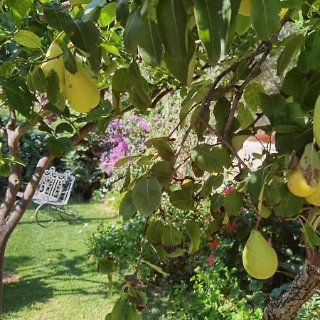 Il Giardino Di Tatiana לה מדלנה