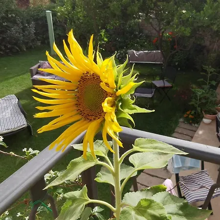 Bed & Breakfast Il Giardino Di Tatiana & Breakfast *