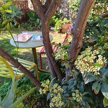 Il Giardino Di Tatiana & Breakfast * La Maddalena (Sassari)