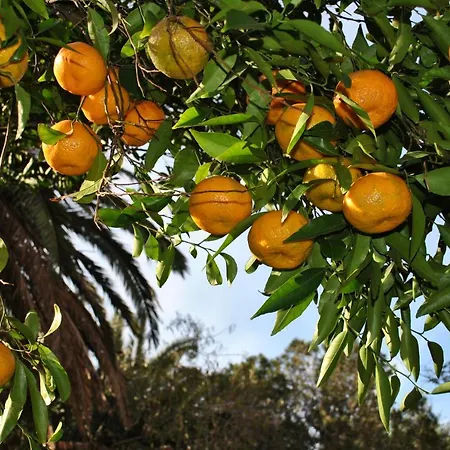 Bed & Breakfast Il Giardino Di Tatiana & Breakfast La Maddalena (Sassari)