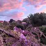 Il Giardino Di Tatiana