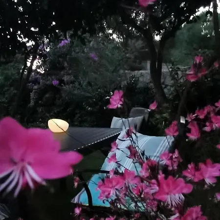 Il Giardino Di Tatiana 4*