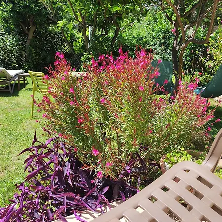 Il Giardino Di Tatiana Bed and Breakfast Λα Μανταλένα