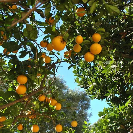 Il Giardino Di Tatiana La Maddalena (Sassari)