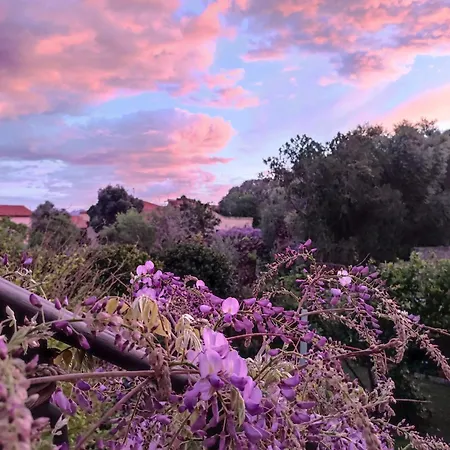 Il Giardino Di Tatiana