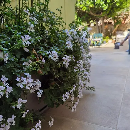 Bed and breakfast Il Giardino Di Tatiana 3*