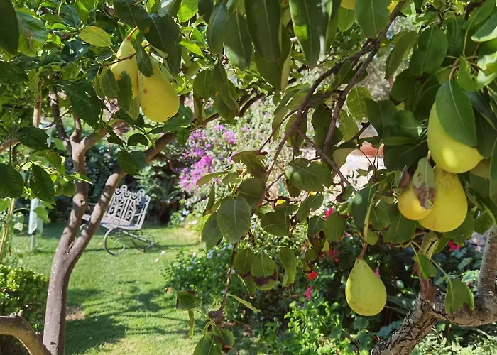 Il Giardino Di Tatiana La Maddalena (Sassari)
